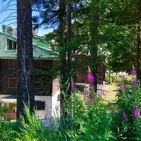 Apartman Ruscello Sulle Piste *
