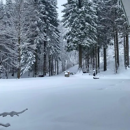 Apartman Ruscello Sulle Piste *