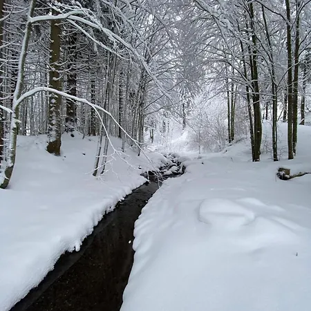 Ruscello Sulle Piste Apartment *