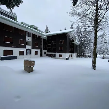 Ruscello Sulle Piste